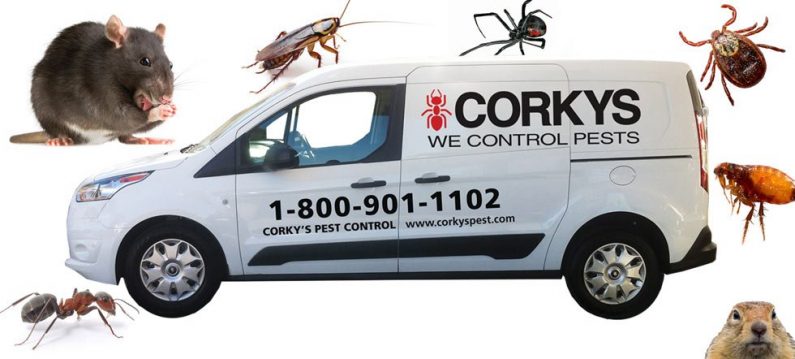 Tips to Keep Common Pests Away from your Commercial Property