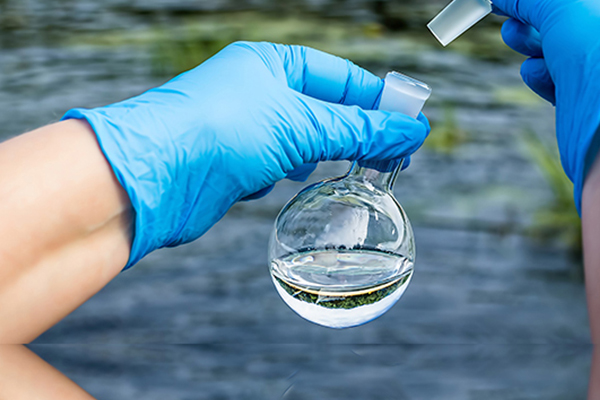 Why Is Water Quality Important?